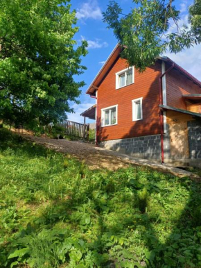 Карпатський котедж Karpatian cottage